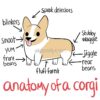 flat750x075f pad750x1000f8f8f8.u15 8 - Corgi Gifts UK