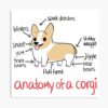 mp840x830mattef8f8f8t pad1000x1000f8f8f8 2 - Corgi Gifts UK