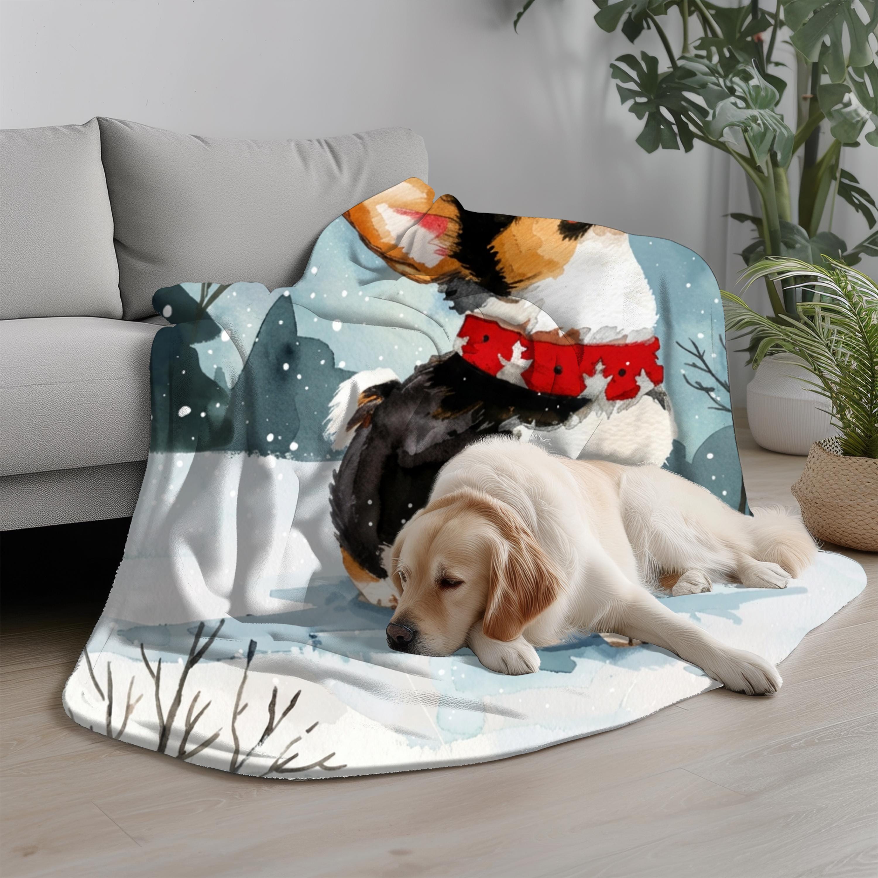 il_fullxfull.7469247454_rpzr - Corgi Gifts UK