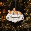 il fullxfull.8588648059 n1v1 - Corgi Gifts UK