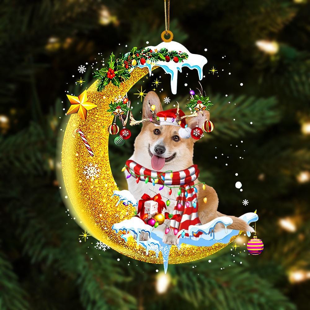 il_fullxfull.8613264249_rsh4 - Corgi Gifts UK