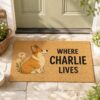 il fullxfull.8413972653 ioxr - Corgi Gifts UK